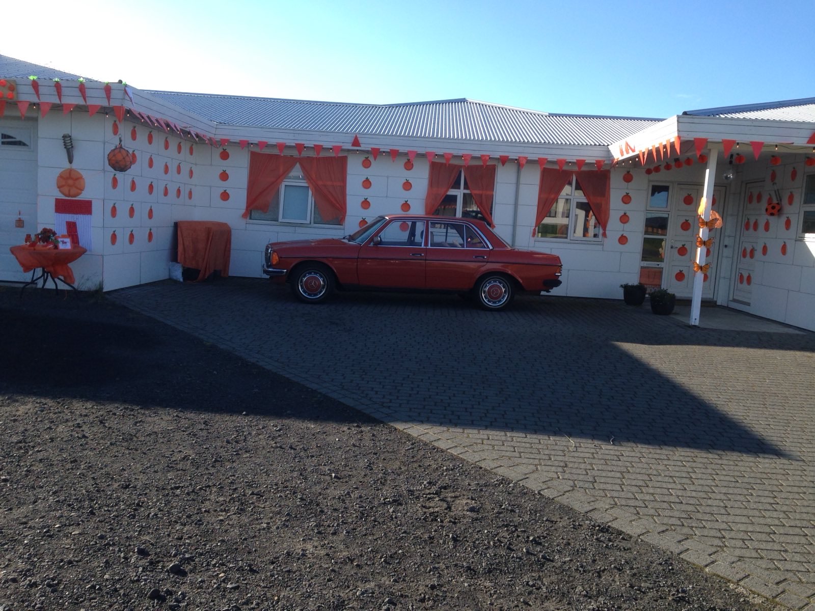 Elín Fríða Sigurðardóttir